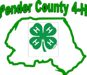 Pender County 4-H Archery Club